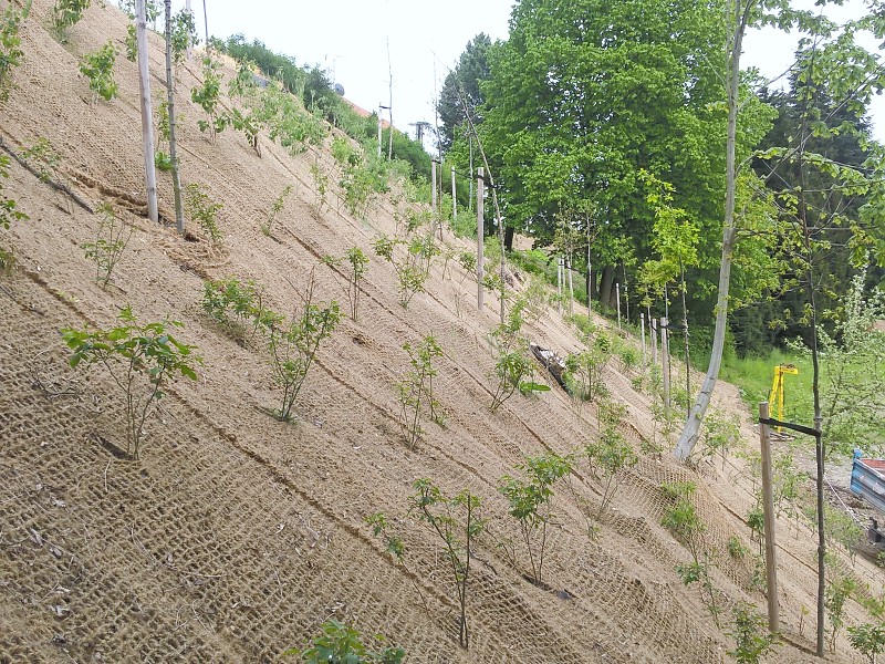 Geotextilie z kokosu podporuje růst vegetace ve svazích a náspech, také u parkových úprav