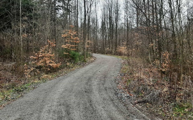 Zvýšenie únosnosti lesnej cesty pri Rudici v Moravskom krase