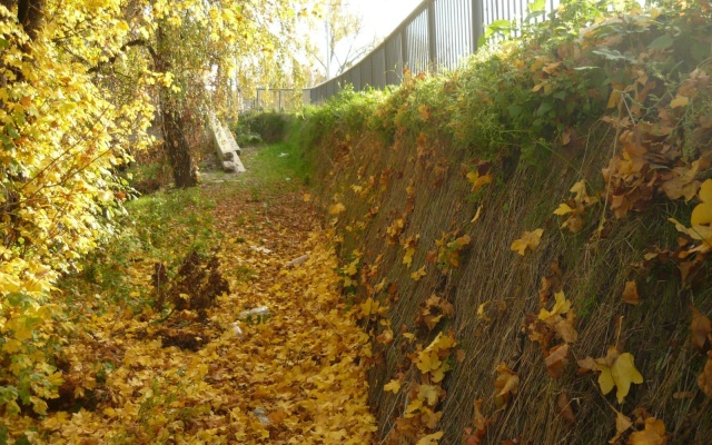 Strmý svah na novej električkovej trati v Olomouci