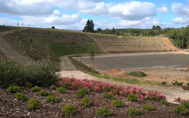 Revitalizácia bývalej pieskovne Praha Lysolaje