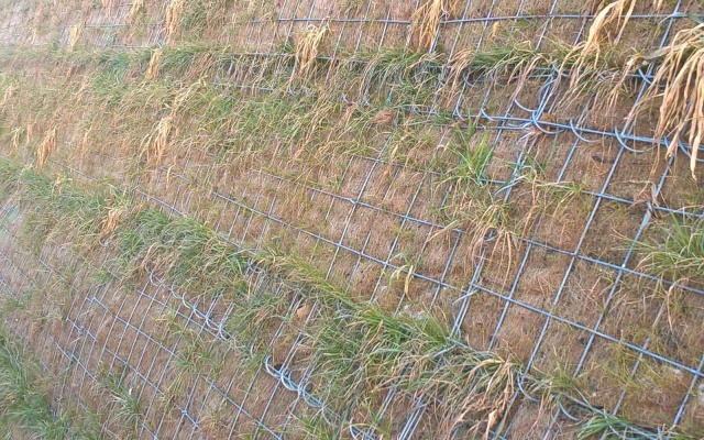 Terminál na R1 – Beladice, strmý svah z vystuženej zeminy