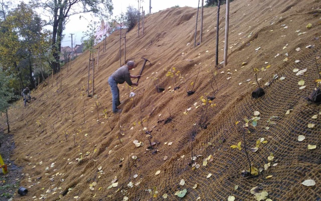 Protierózna ochrana svahu v obci Olomučany