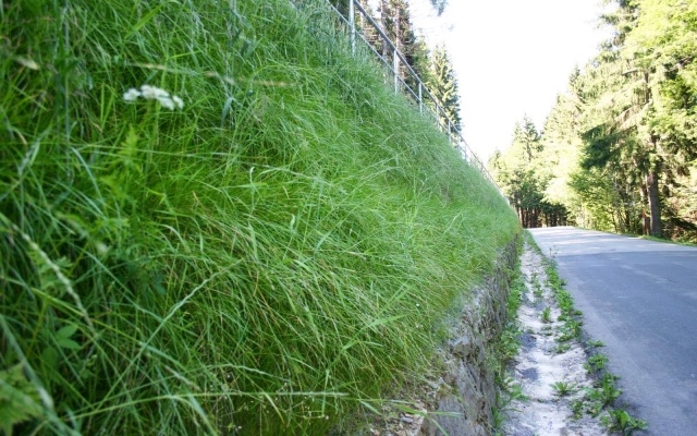 Výškové oddelenie cesty a cyklotrasy strmým svahom v Prášilech na Šumave
