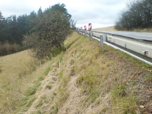 Sanácia zosuvu svahu na ceste I/23 vo Vladislavi