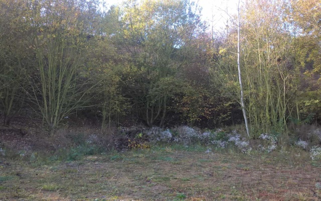 Revitalizácia bývalej pieskovne Praha Lysolaje