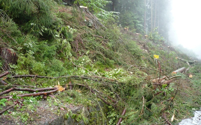 Výškové oddelenie cesty a cyklotrasy strmým svahom v Prášilech na Šumave
