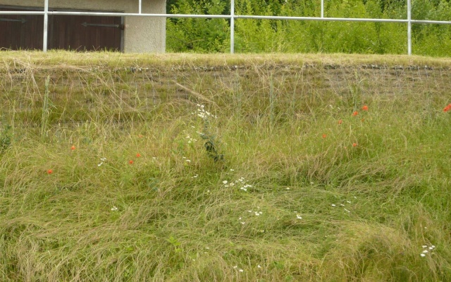 Rekonštrukcia ulice Kapetova v Dačicích