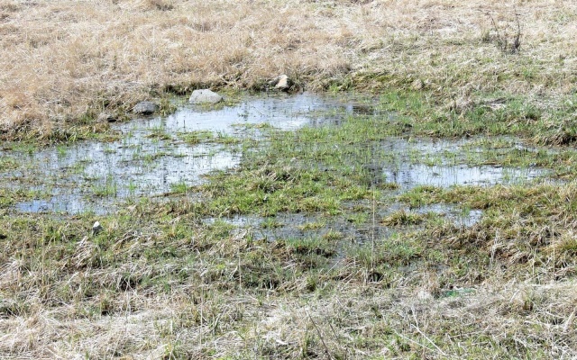 Založení haly na podmáčeném území pomocí roznášecí platformy s geomřížemi Tensar