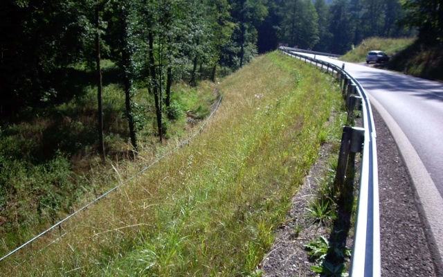 Zlatá Olešnice, Cesta I16 sanácia havárie telesa cestného násypu