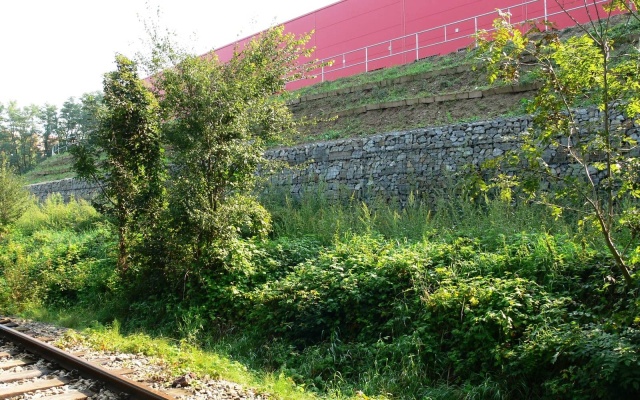 Oporný múr s lícom z prírodného kameňa v Ivančiciach