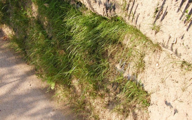 Tenisový areál v Ledči nad Sázavou