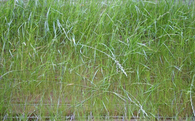 Výškové oddelenie cesty a cyklotrasy strmým svahom v Prášilech na Šumave