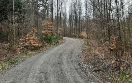 Zvýšenie únosnosti lesnej cesty pri Rudici v Moravskom krase