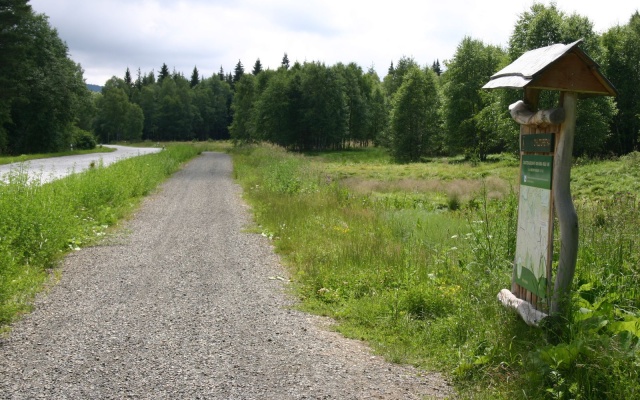 Založenie cyklotrasy na rašelinisku v Prášiloch na Šumave
