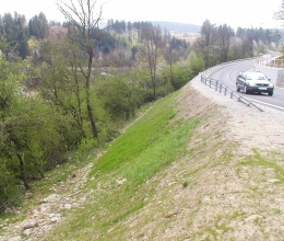 Protierózna ochrana svahov cestného násypu na diaľnici pri Sverepci