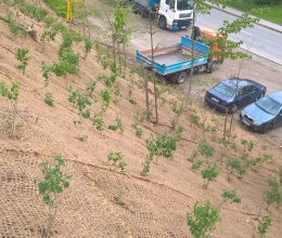 Protierózna ochrana svahu v obci Olomučany