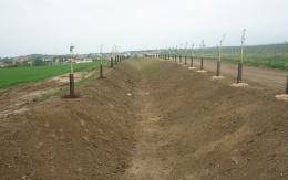 Záchytná priekopa na Holém kopci v Kobylí