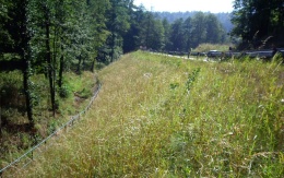 Zlatá Olešnice, Cesta I16 sanácia havárie telesa cestného násypu